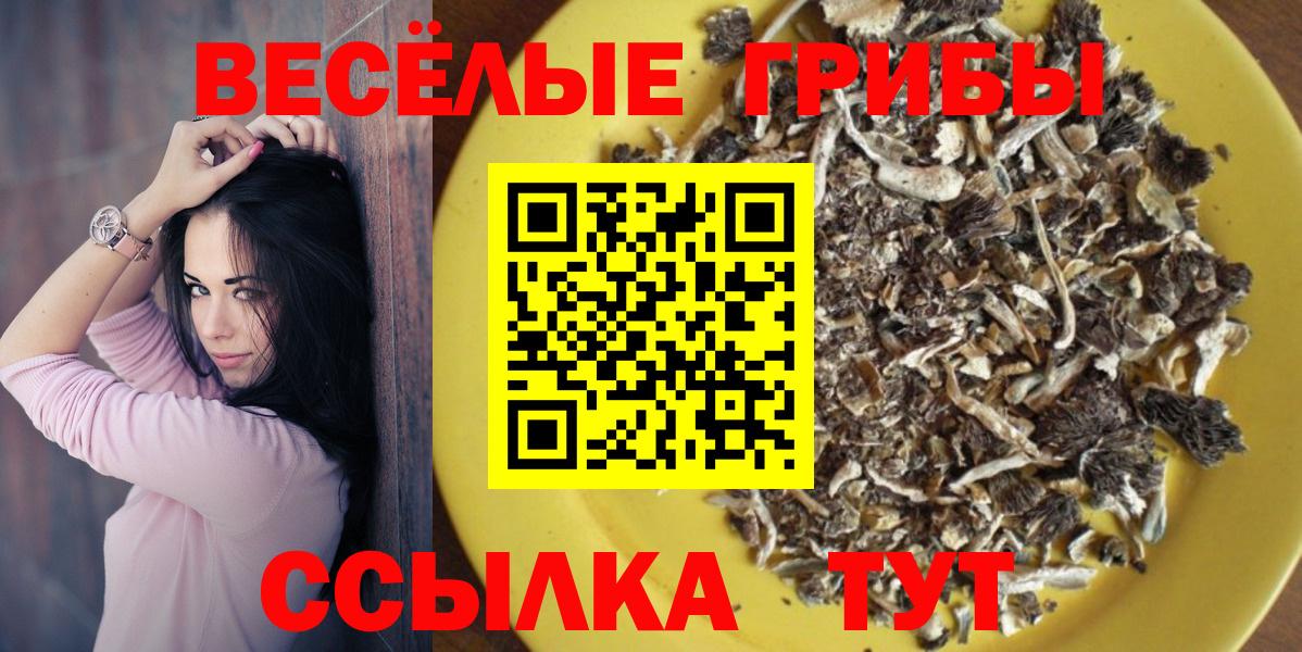 Камышлов  Псилоцибиновые грибы Psilocybine cubensis  Вход с VPN 